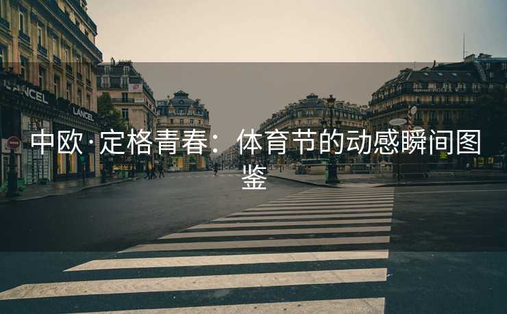 中欧·定格青春：体育节的动感瞬间图鉴